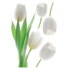 Наклейка декоративна №23 Білі тюльпани