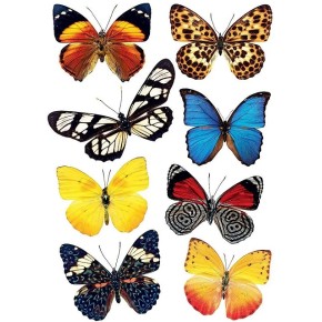 Наклейка декоративна №24 Метелики