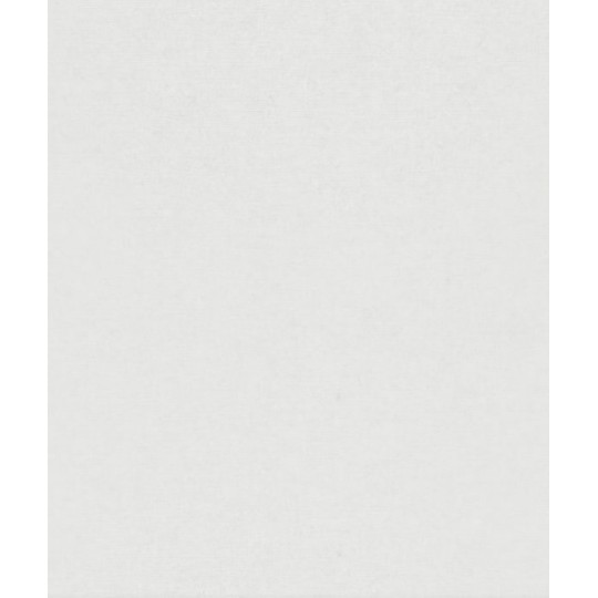Обои Erismann Gentle 12207-01 1.06х10.05 м