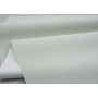 Шпалери Sintra FLOURISH UNI 252321 1.06х10.05 м