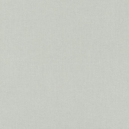 Шпалери Rasch Maximum-ХVI 960792 1.06х10.05 м