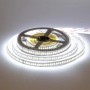 Светодиодная лента AVT SMD 3014 (AVT-204W3014-12)