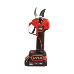 Секатор акумуляторний Vitals Master AG 1825ck BL Kit (235297)