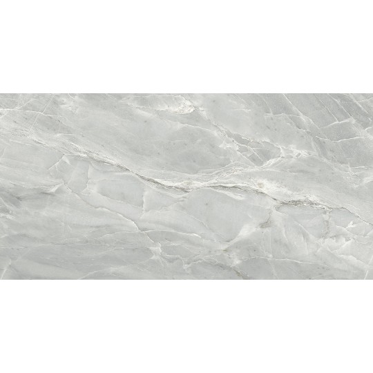 Плитка для підлоги Terragres Silver Roots 1200х600 мм сірий (S92990) (1.44 м2)