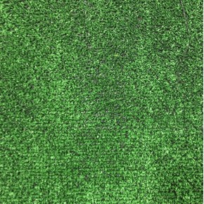 Декоративная трава SQUASH FLAT 7 1 м GREEN