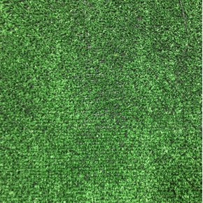 Декоративная трава SQUASH FLAT 7 2 м GREEN