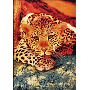 Ковер Karat Carpet Kolibri 0.5x0.8 м (11123/120) (57851038)