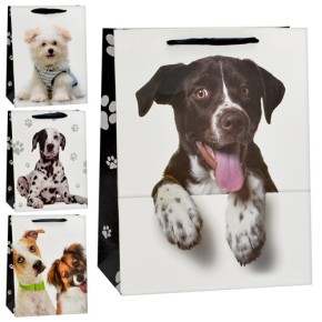  Пакет подарочный бумажный M "Dogs" 26*32*10см DW01292-M (480)