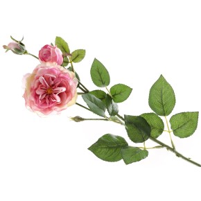 Англійська троянда з бутоном на нозі Bona Di рожево-жовтий 58 см 709-500