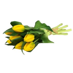 Букет тюльпанов бутоны желтые Miss Decor K-246