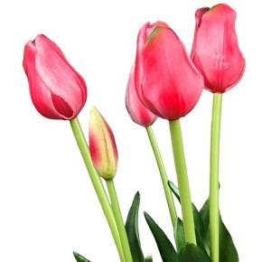 Букет тюльпанів класичний малиновий Miss Decor K-417