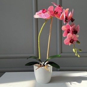 Декоративная композиция Орхидея Miss Decor малиновая D-3972