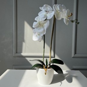 Декоративная композиция Орхидея Miss Decor белая D-4840