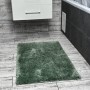 Коврик Dariana Ambience антибактериальный 60х100 см мятный