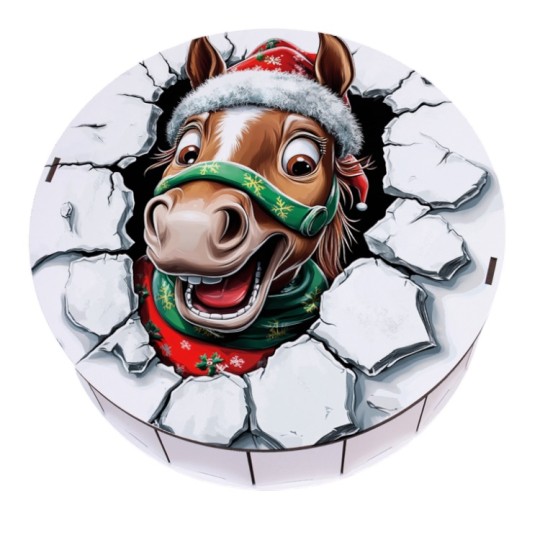 Подарочная коробка Decorize круглая M (4233)