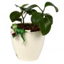 Фігурка для квіткового горщика Stenson Funny frog 10 см R34183