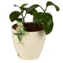 Фігурка для квіткового горщика Stenson Funny frog 10 см R34185