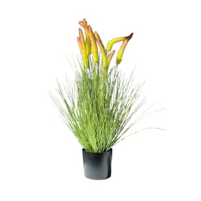 Декоративная трава Miss Decor 68 см в горшке (B0063R/DRG5/BG5) (D-6748)