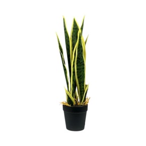 Декоративный вазон Miss Decor Сансевиерия 41 см в горшке (D-5489)