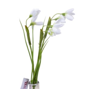 Штучні квіти Decorize Підсніжники 35 см (5579)
