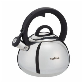 Чайник со свистком Tefa Duetto+ 2.5 л (N4180310)