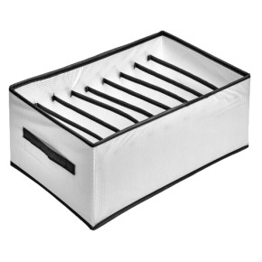 Коробка-органайзер для зберігання білизни Stenson 44х25х20 см 9 відділень 4425209J-WHITE 4425209