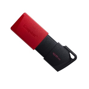 Флеш-память Kingston Gen1 DT Exodia M 128GB USB 3.2 (DTXM/128GB)