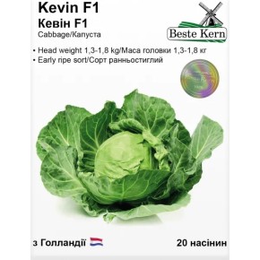 Семена капуста Кевин F1 Beste Kern 20 штук