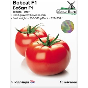 Насіння томат Бобкат F1 Beste Kern 10 штук