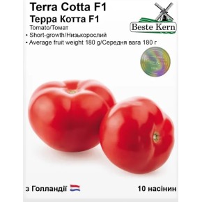 Насіння томат Терра Котта F1 Beste Kern 10 штук
