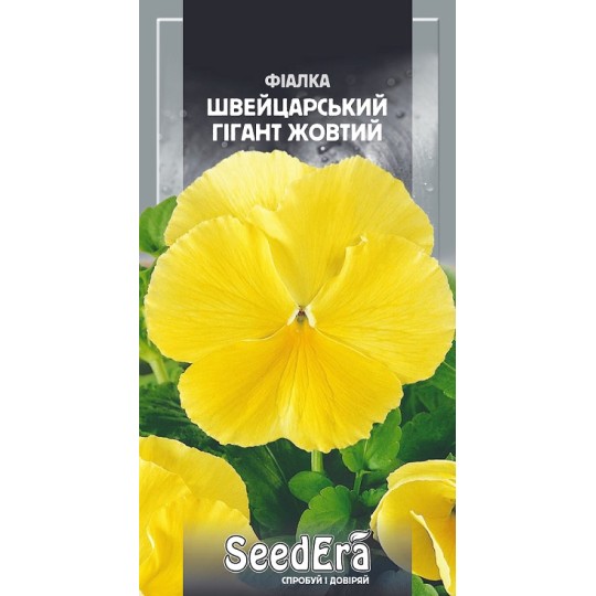 Насіння Фіалка Швейцарський Гігант жовтий Seedera 0.1 г