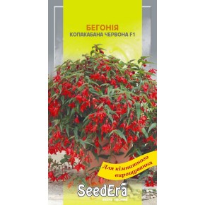 Семена Бегония боливийская Копакабана красная F1 Seedera 5 штук