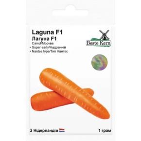 Семена морковь Лагуна F1 Beste Kern 1 г