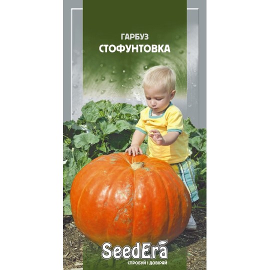 Насіння гарбуз Стофунтовка Seedera 3 г