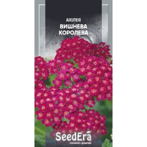 Насіння квіти Ахілея Вишнева Королева Seedera 0.1 г