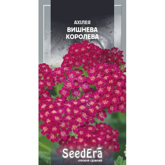 Насіння квіти Ахілея Вишнева Королева Seedera 0.1 г