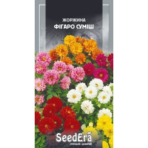 Семена цветы Георгина Фигаро смесь Seedera 0.5 г