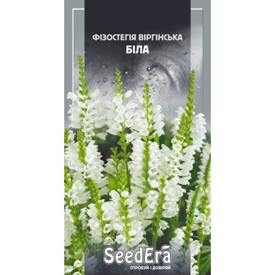 Семена цветы Физостегия виргинская белая Seedera 0.1 г