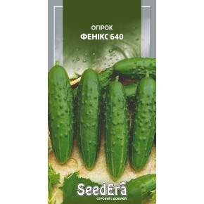 Насіння огірок Фенікс 640 Seedera 1 г