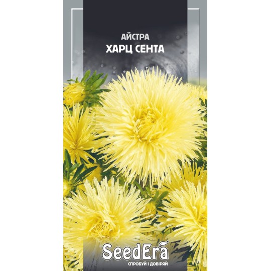 Насіння квіти Айстра Харц Сента Seedera 0.25 г