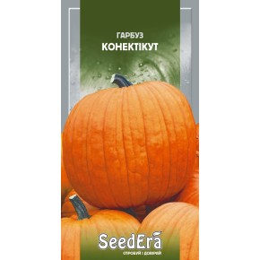 Насіння гарбуз Конектікут Seedera 2 г