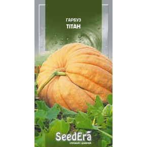 Семена тыква Титан Seedera 2 г