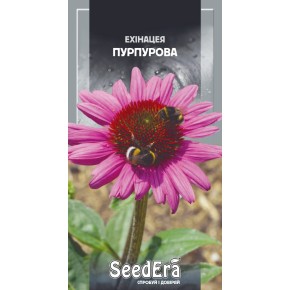 Насіння квіти Ехінацея пурпурова Seedera 0.5 г