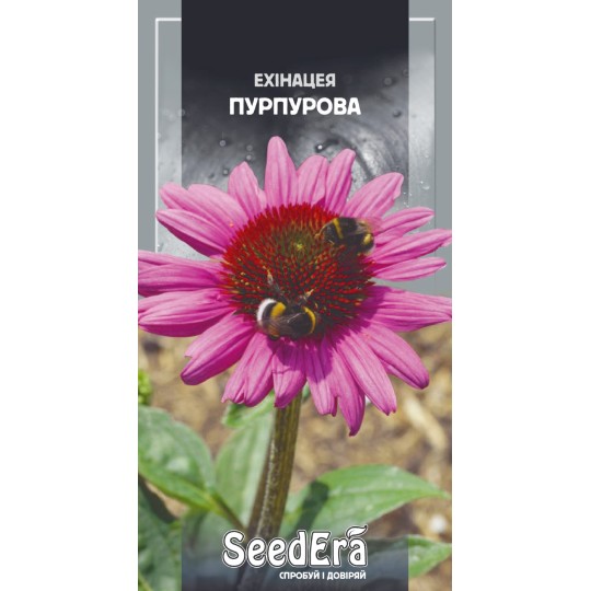 Семена цветы Эхинацея пурпурная Seedera 0.5 г