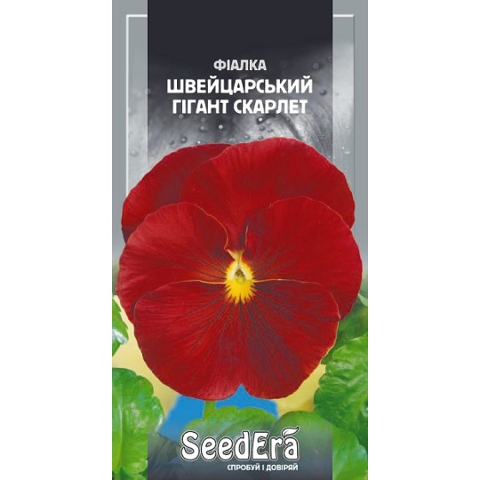 Насіння квіти Фіалка садова Швейцарський гігант Скарлет Seedera 0.1 г
