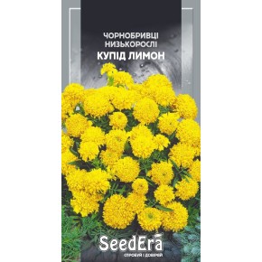 Семена цветы Бархатцы Купид лимон Seedera 0.5 г