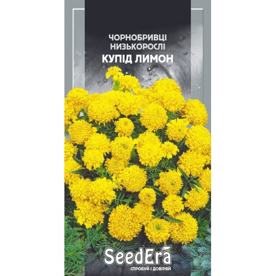 Насіння квіти Чорнобривці Купід лимон Seedera 0.5 г