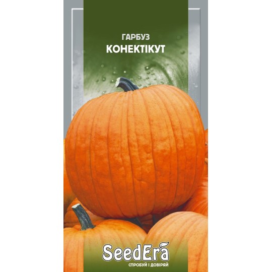 Насіння гарбуз Конектікут Seedera 20 г