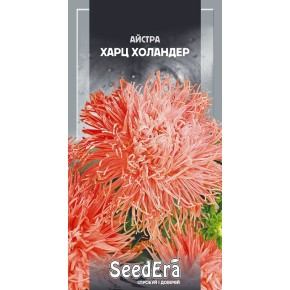 Насіння квіти Айстра Харц Холандер Seedera 0.25 г