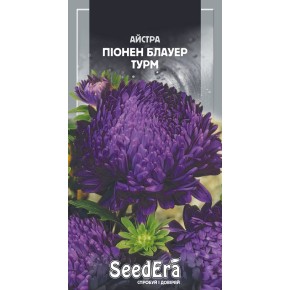 Семена цветы Астра Пионен Блауэр Турм Seedera 0.25 г